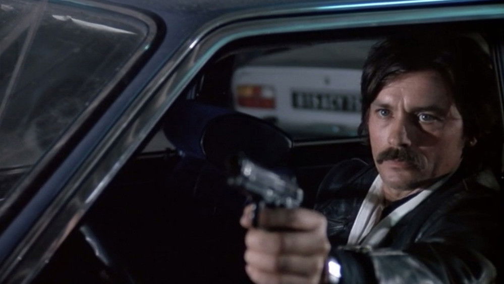 大盗吉普赛,Le Gitan(1975电影)