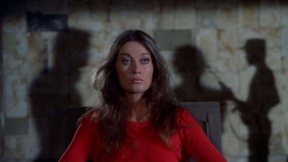 大鸟笼,The Big Bird Cage(1972电影)