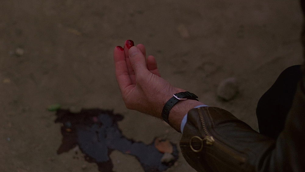 勾魂天魔,Sole Survivor(1984电影)