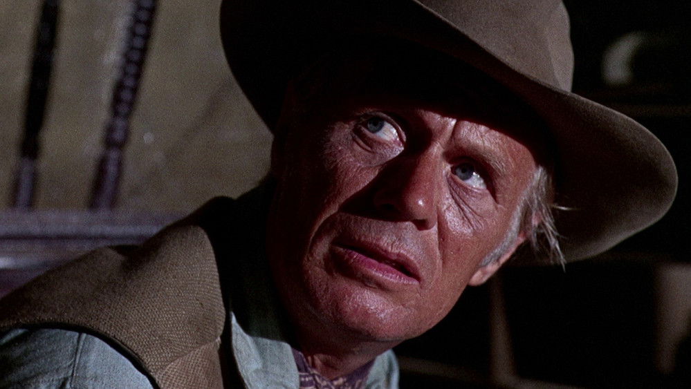 义侠本色,Death of a Gunfighter(1969电影)