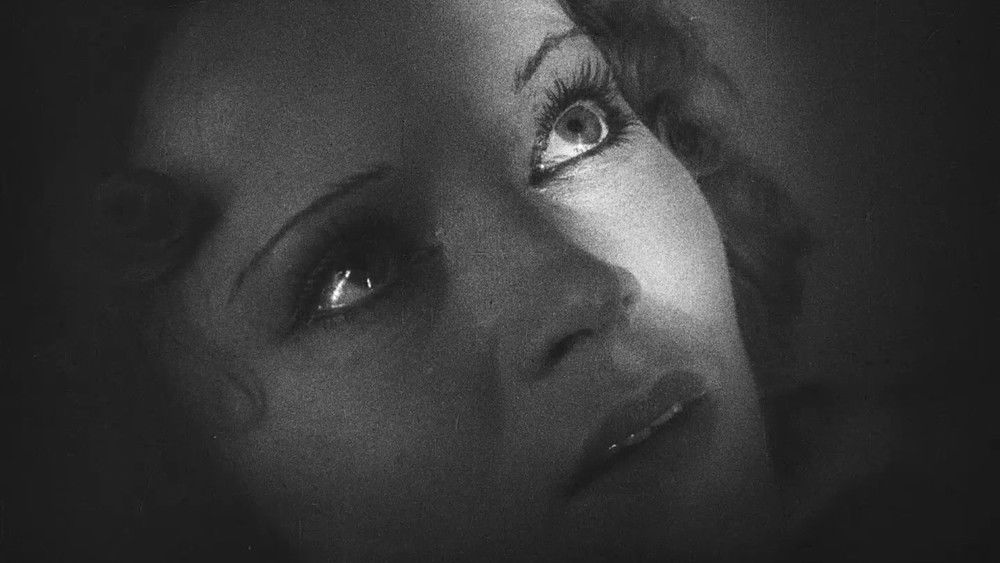 妇女乐园,Au Bonheur des Dames(1930电影)