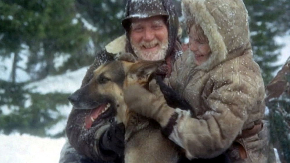 醒目狗救主擒凶,Il ritorno di Zanna Bianca(1974电影)