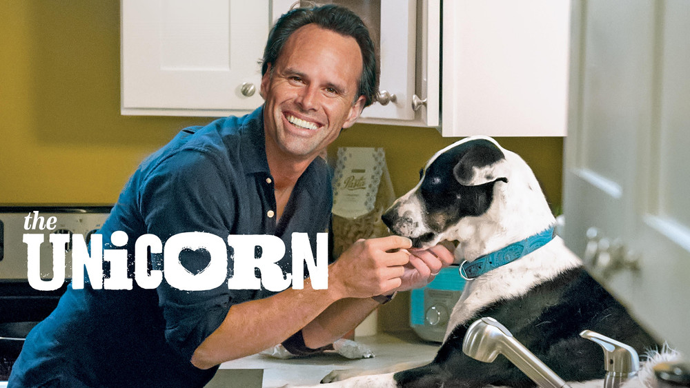 神兽,The Unicorn(2019电视剧集)