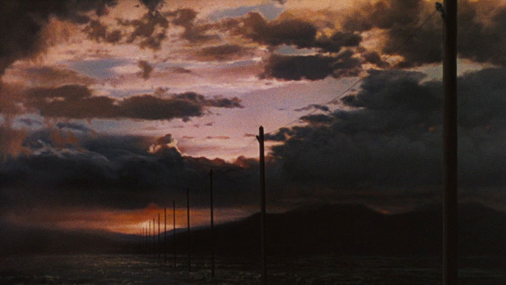 西部联盟,Western Union(1941电影)