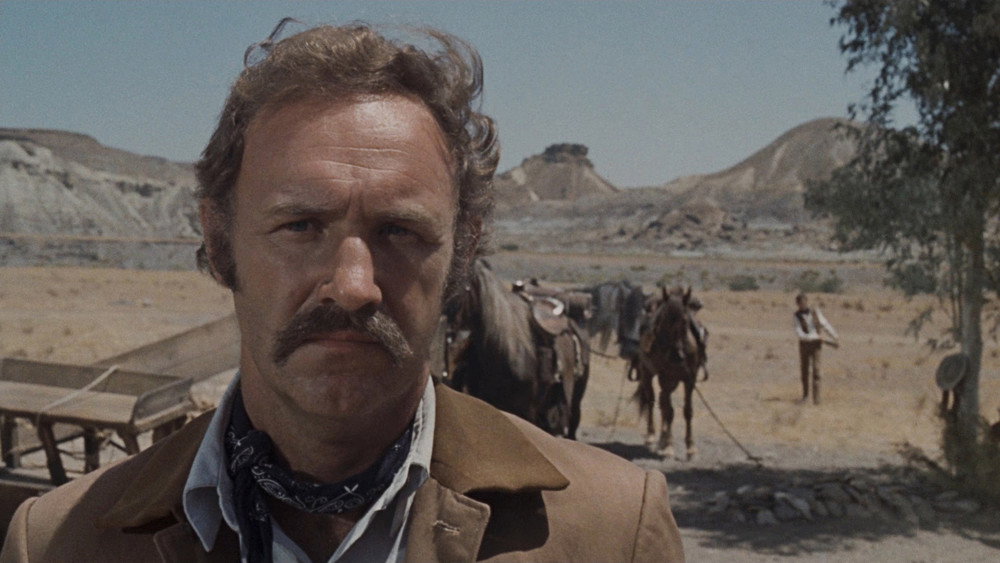 赶尽杀绝,The Hunting Party(1971电影)