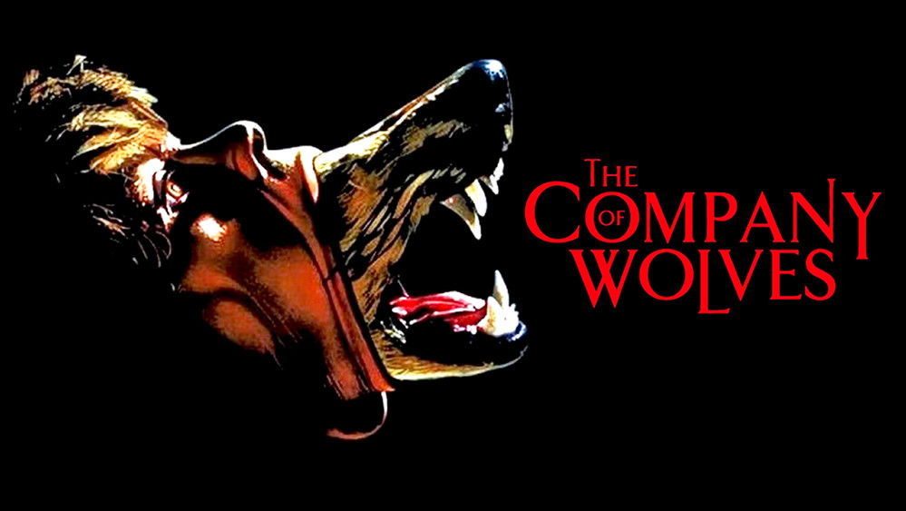 狼之一族,The Company of Wolves(1984电影)