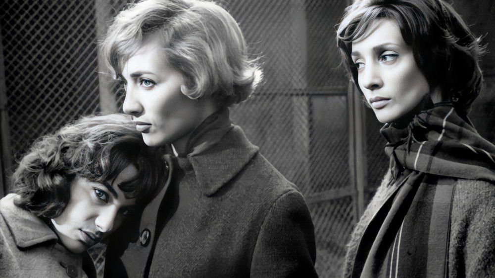 好女人们,Les bonnes femmes(1960电影)