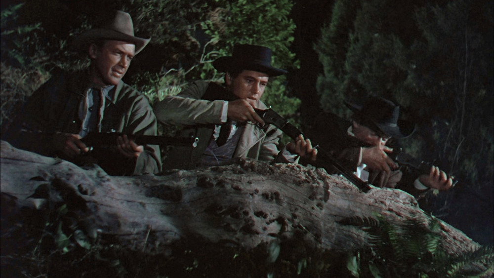 怒河,Bend of the River(1952电影)