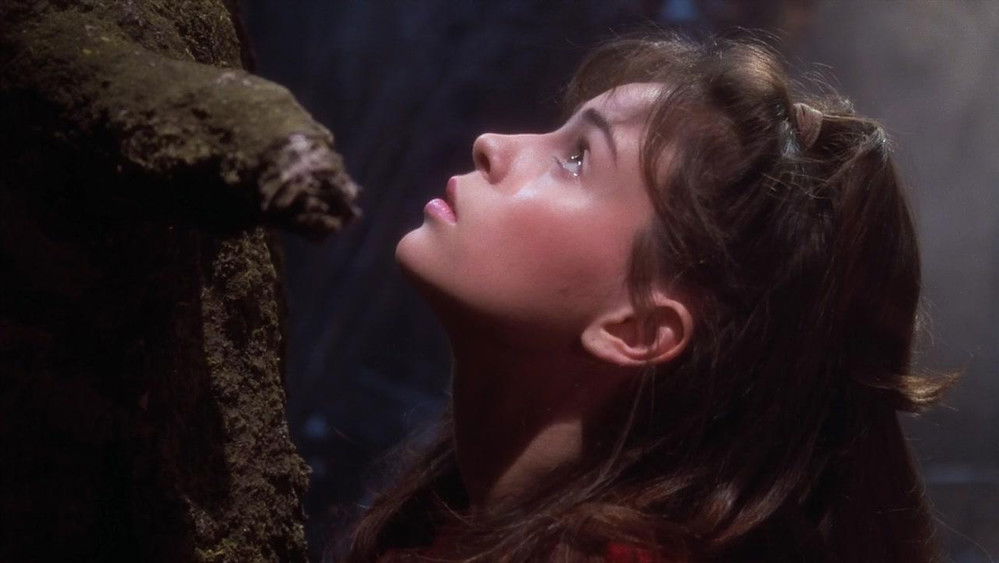 狼之一族,The Company of Wolves(1984电影)