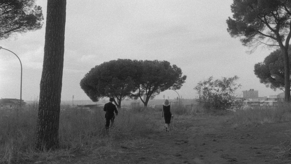 蚀,L'eclisse(1962电影)
