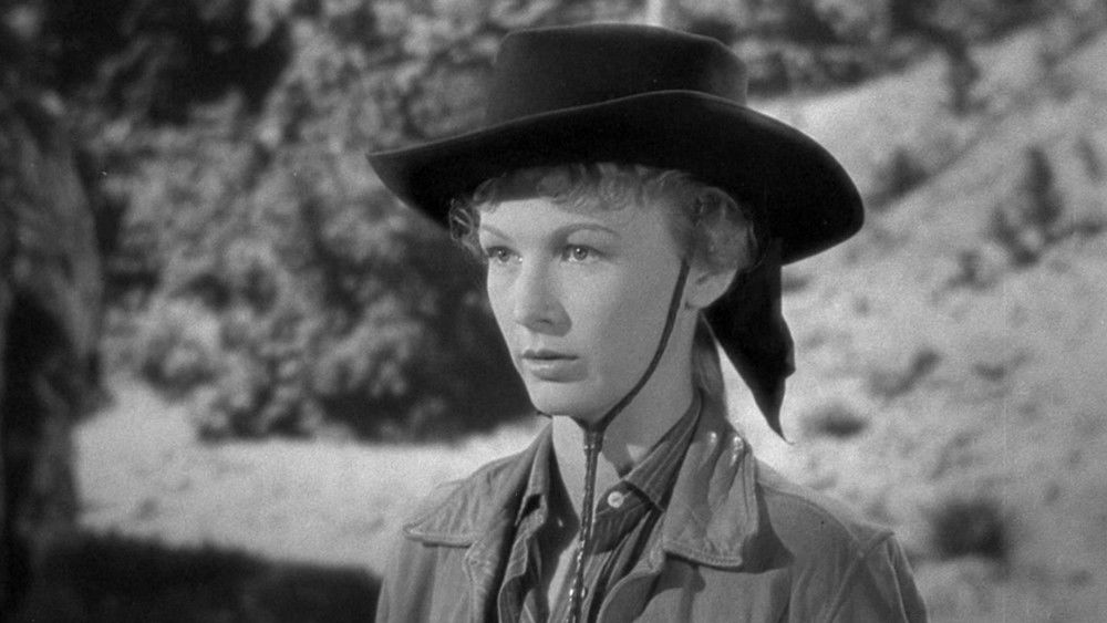 独臂屠龙,Ramrod(1947电影)