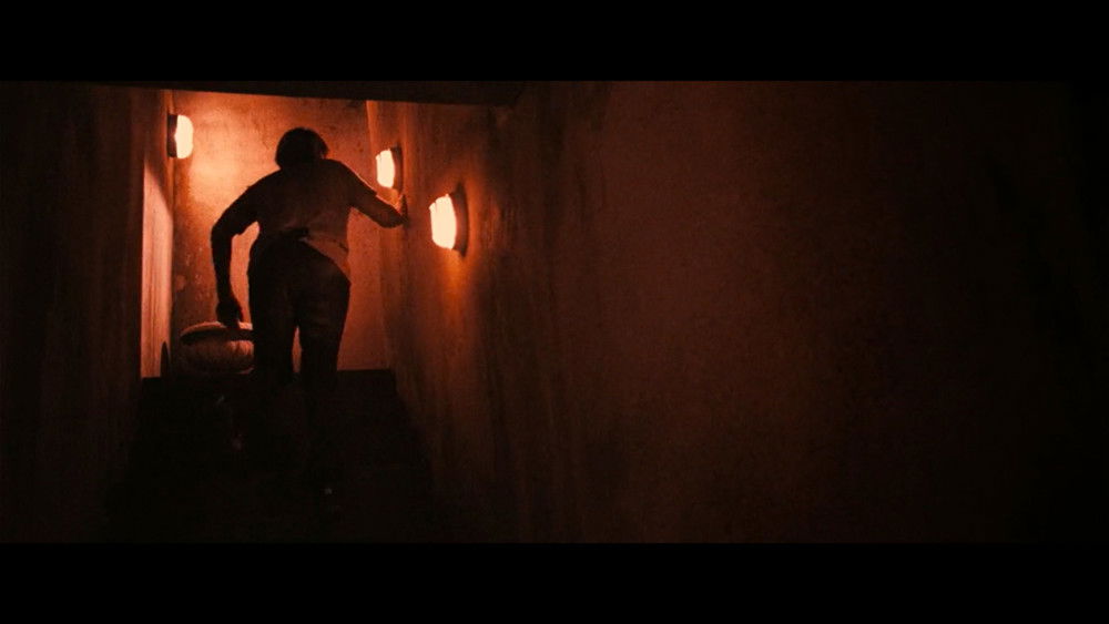 一部塞尔维亚电影,Srpski film(2010电影)