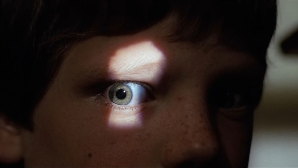 平安夜,杀人夜,Silent Night, Deadly Night(1984电影)