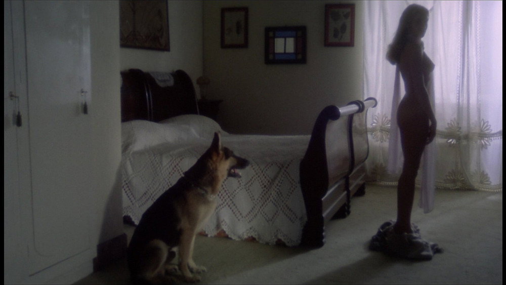 欲望的果实,Appassionata(1974电影)