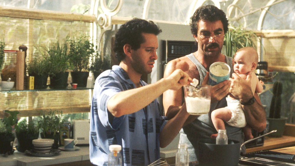 三个奶爸一个娃,3 Men and a Baby(1987电影)