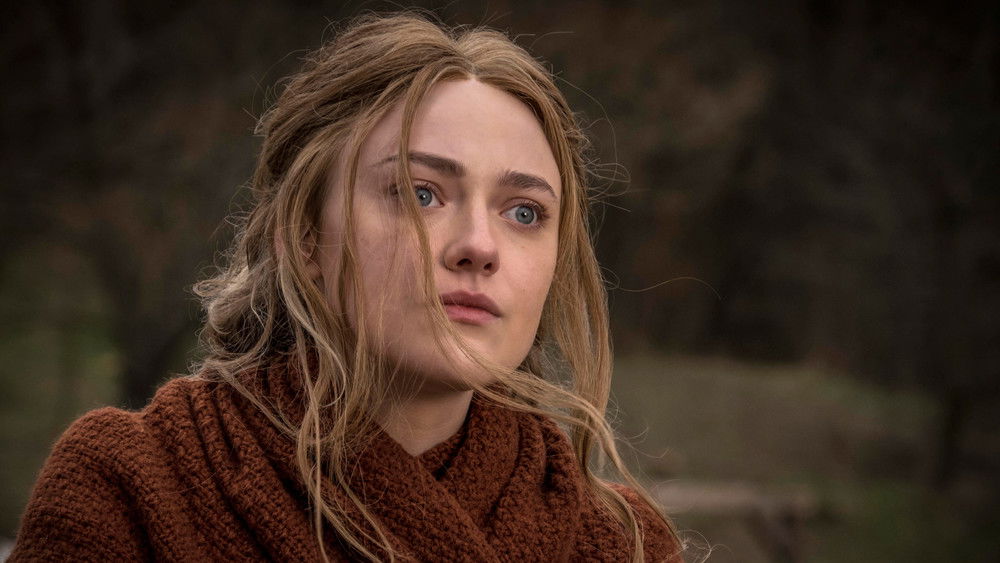 悍女,Brimstone(2016电影)