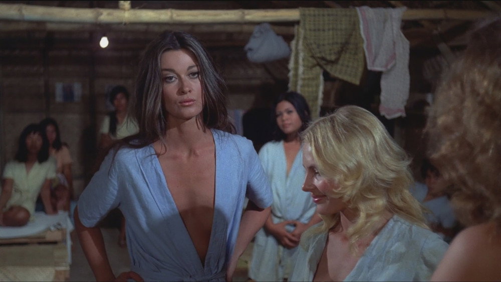 大鸟笼,The Big Bird Cage(1972电影)