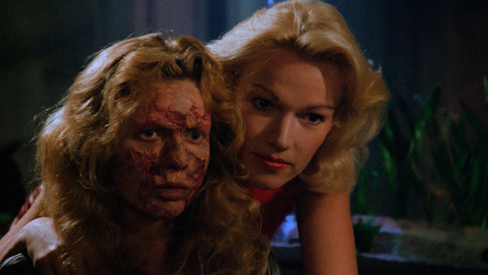 花容劫,Faceless(1988电影)