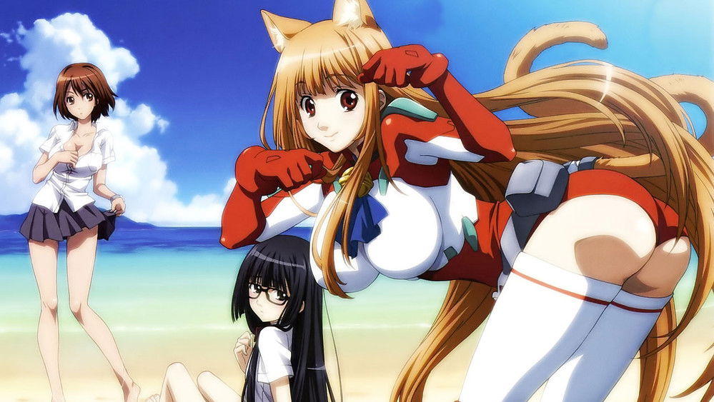 玩伴猫耳娘,あそびにいくヨ！(2010日本动漫)