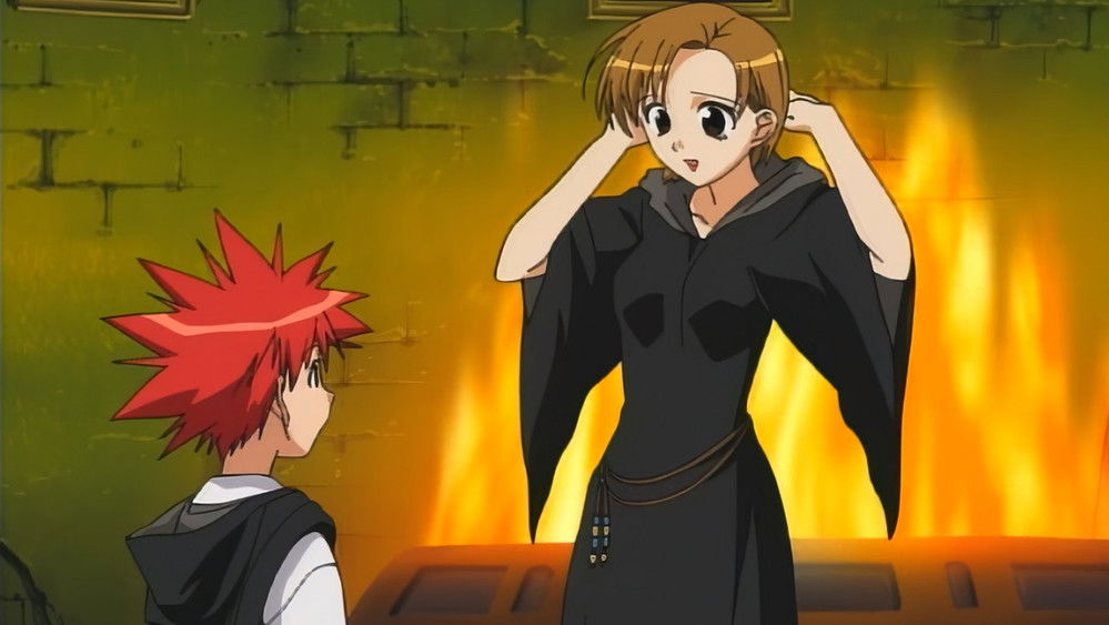 天使怪盗,D・N・ANGEL(2003日本动漫)