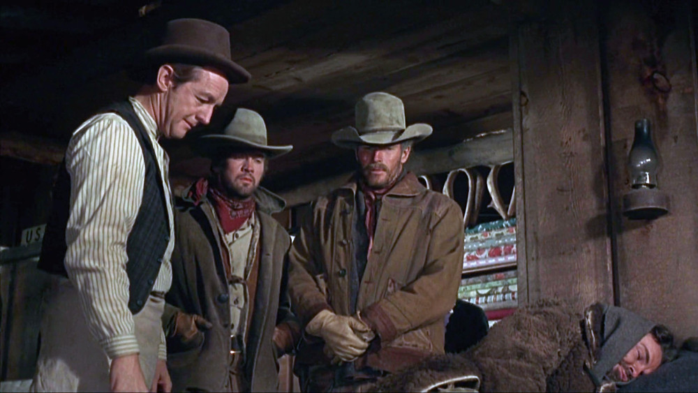 威尔·佩尼,Will Penny(1967电影)