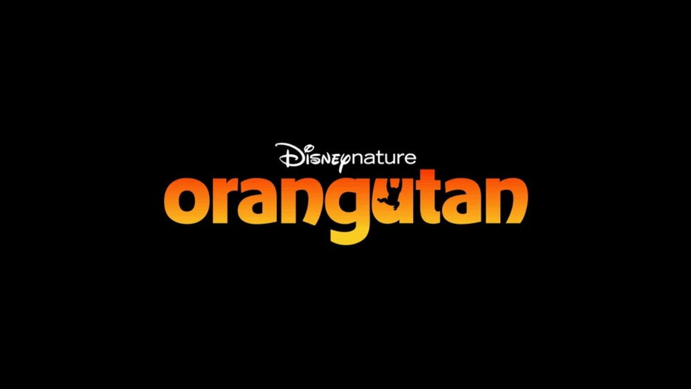 红毛猩猩,Orangutan(2026电影)
