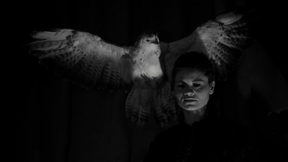 吸血鬼女王,Le Viol du vampire(1968电影)