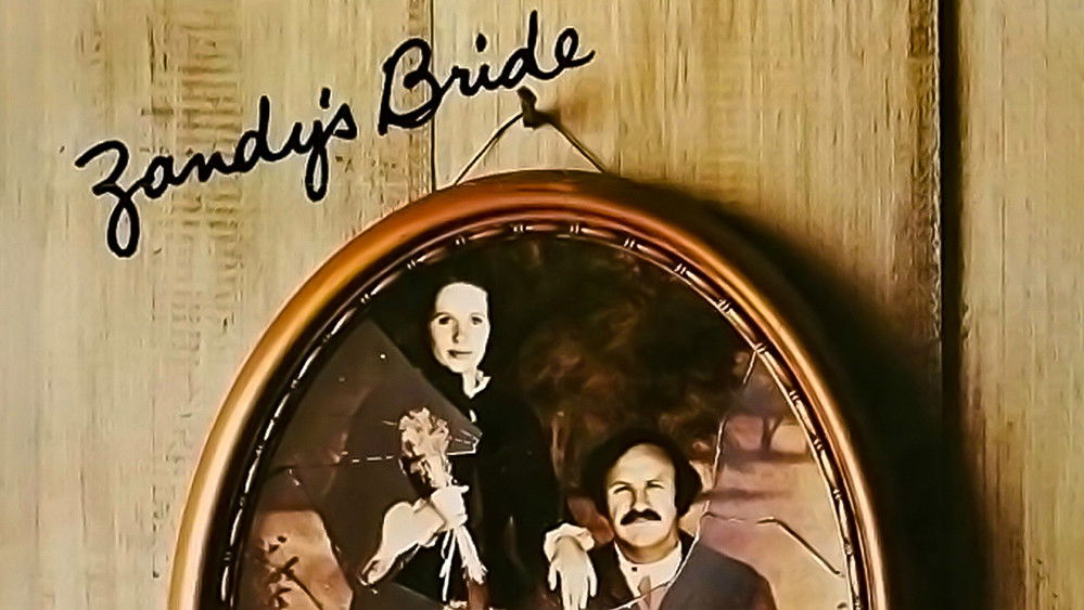 赞迪的新娘,Zandy's Bride(1974电影)
