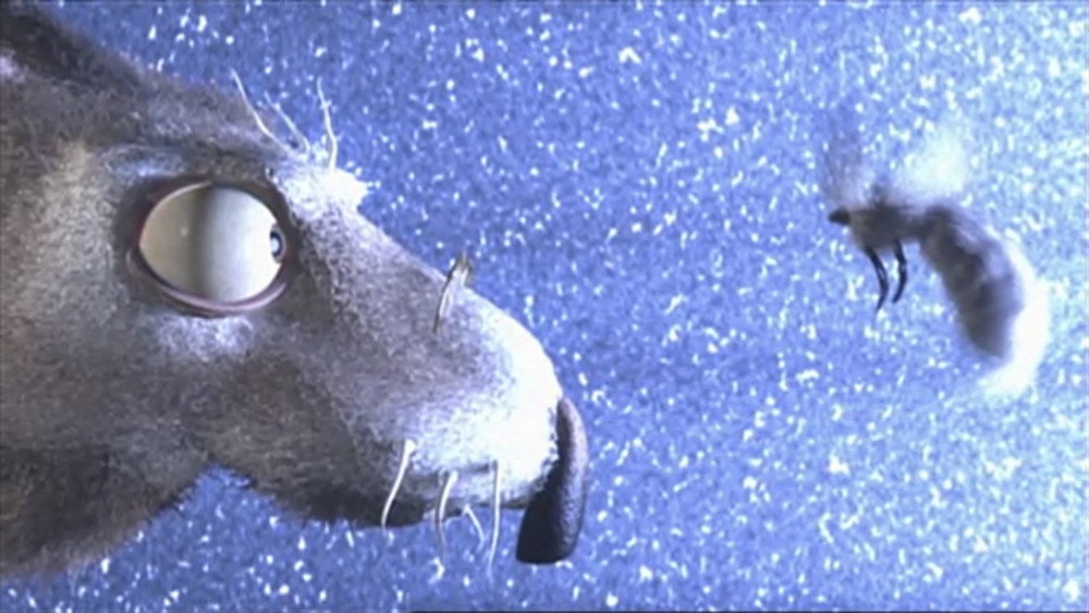 棕兔夫人,Bunny(1998电影)