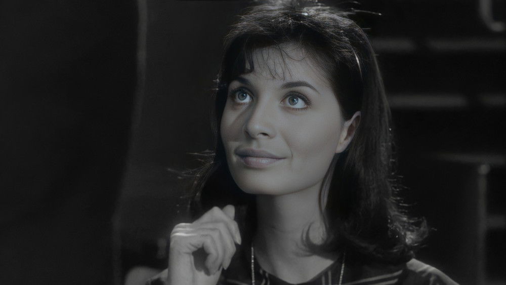 好女人们,Les bonnes femmes(1960电影)