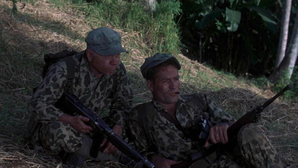 激战伏兵湾,Ambush Bay(1966电影)