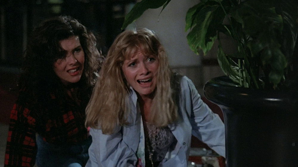 夜困杀人场,Chopping Mall(1986电影)