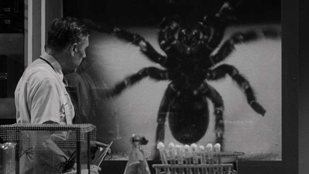 狼蛛,Tarantula(1955电影)