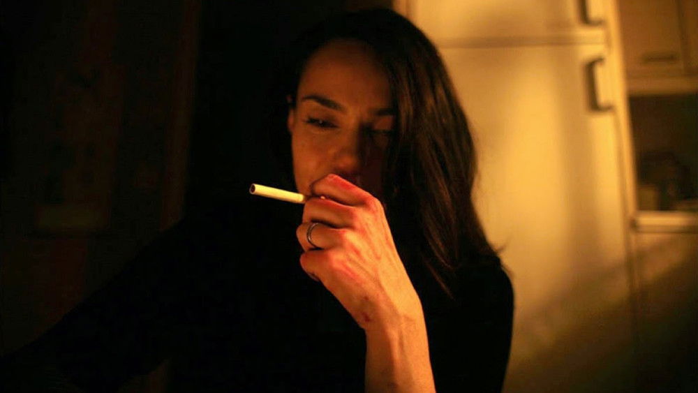 身在其中,À l'intérieur(2007电影)