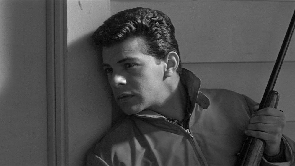 极度恐慌,Panic in Year Zero!(1962电影)