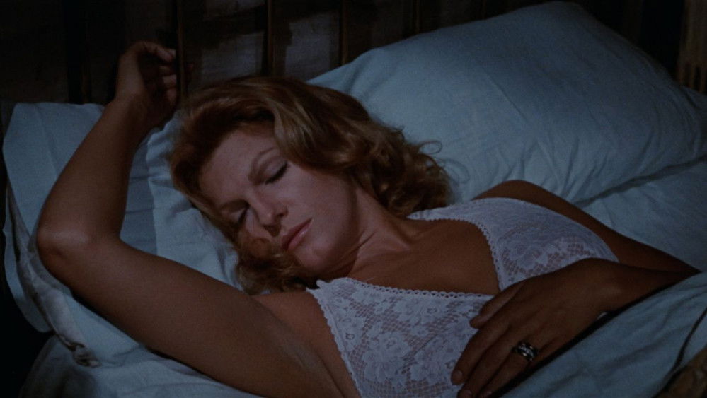 吸血情圣,El gran amor del conde Drácula(1973电影)