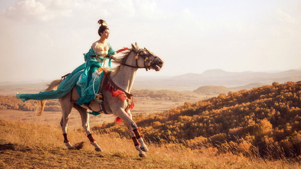 王朝的女人·杨贵妃(2015电影)