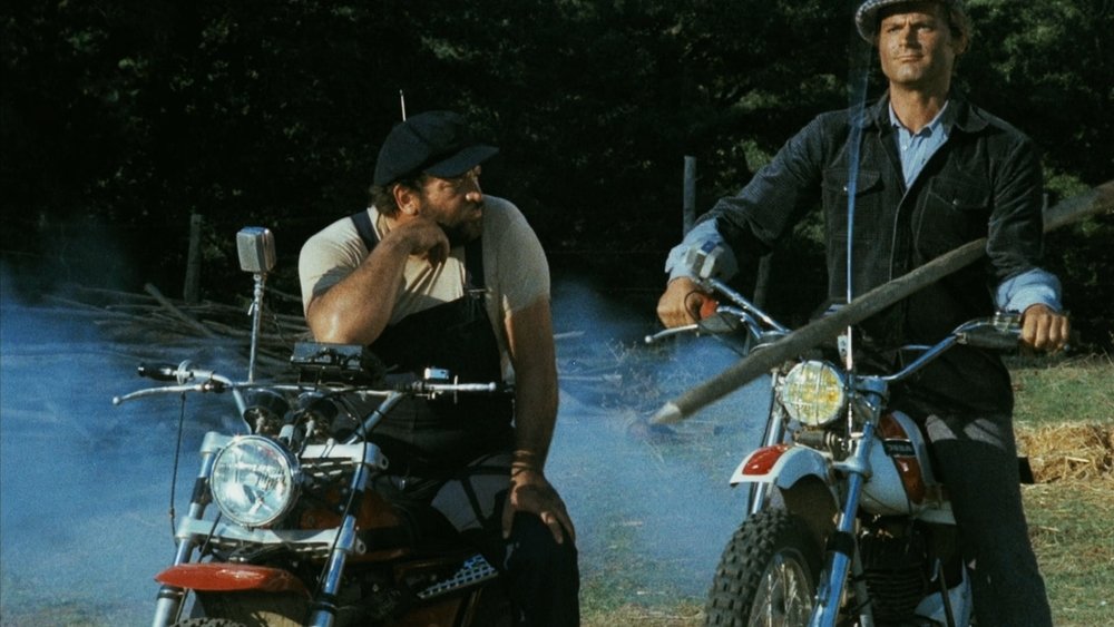 疯狂复仇记,...altrimenti ci arrabbiamo!(1974电影)