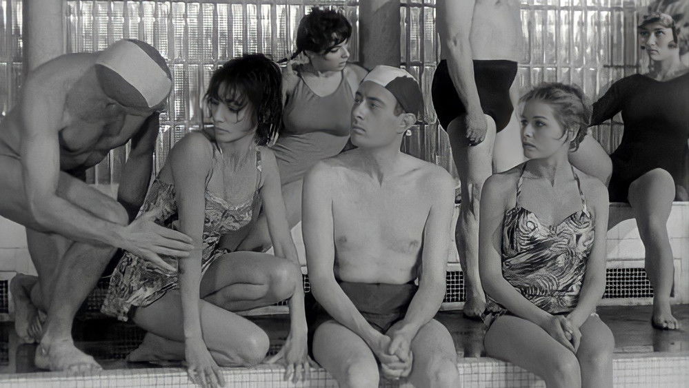 好女人们,Les bonnes femmes(1960电影)