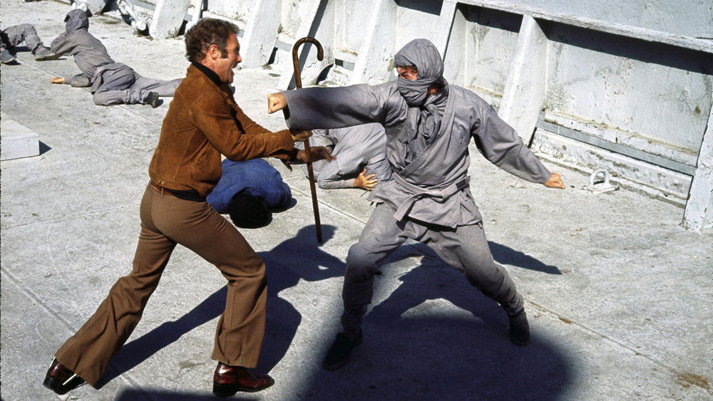 杀手精英,The Killer Elite(1975电影)