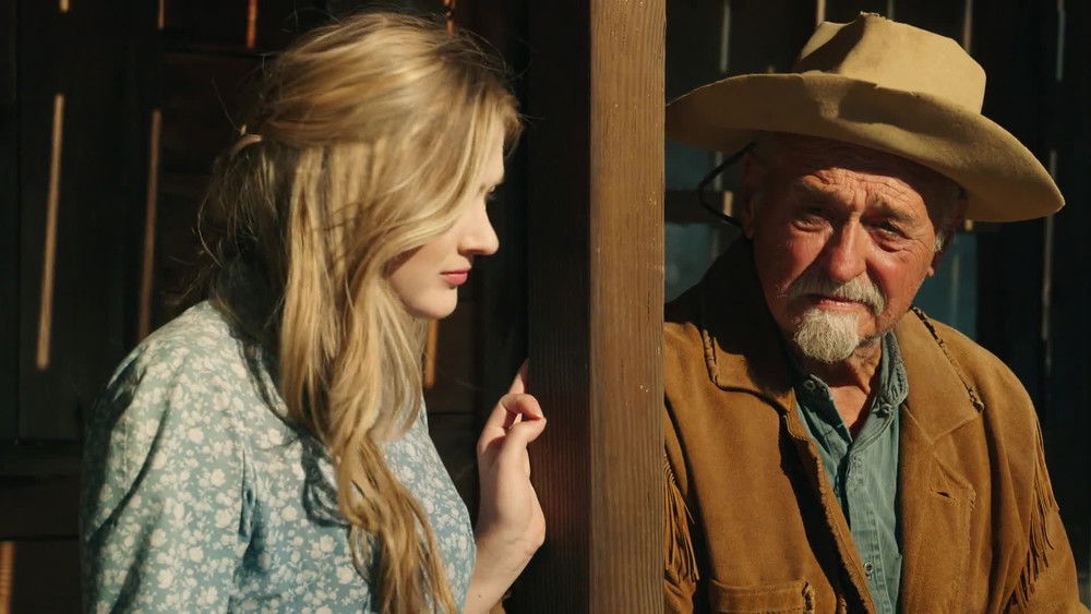 最后一击,Last Shoot Out(2021电影)