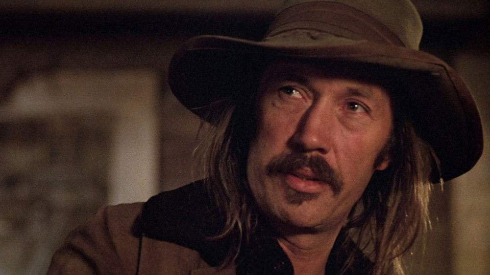 大贼龙虎斗,The Long Riders(1980电影)