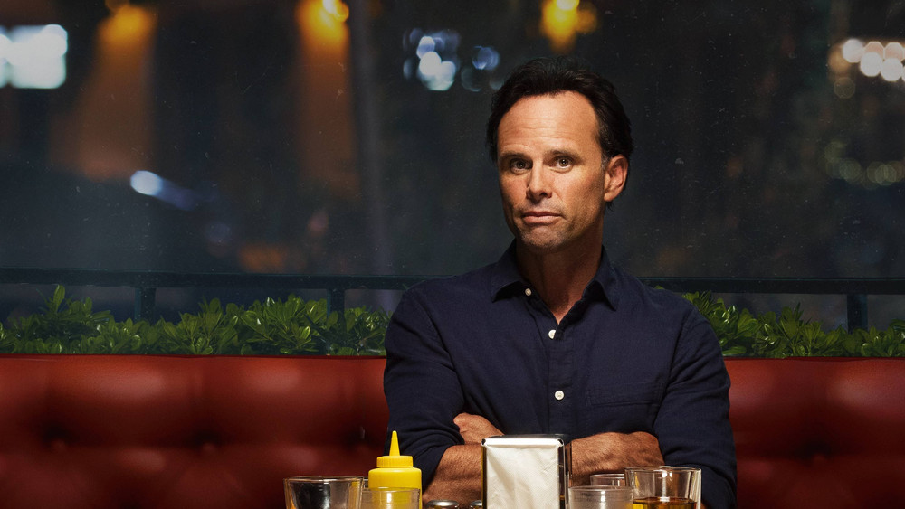 神兽,The Unicorn(2019电视剧集)