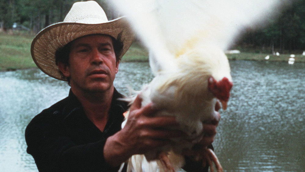 斗鸡人,Cockfighter(1974电影)