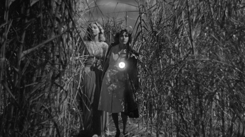 与僵尸同行,I Walked with a Zombie(1943电影)