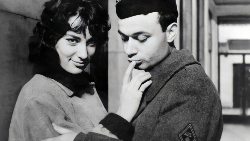 好女人们,Les bonnes femmes(1960电影)