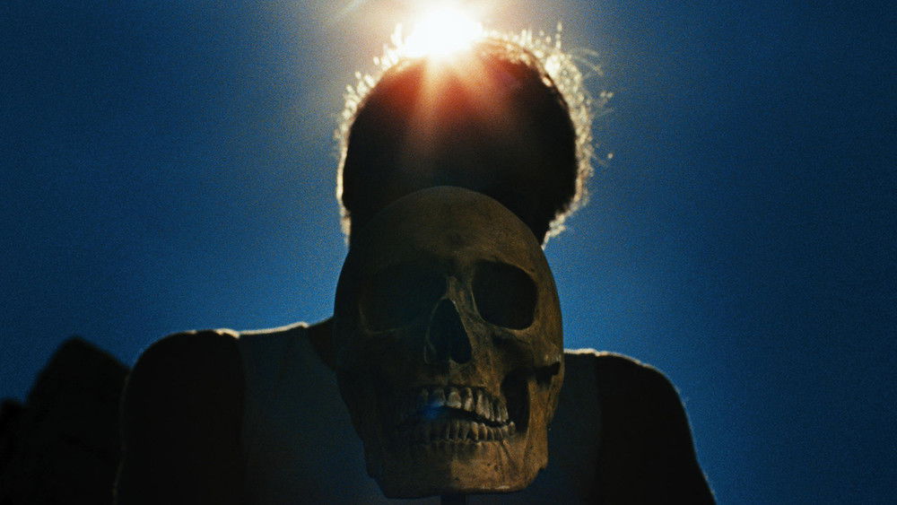 晒尸体,Laissez bronzer les cadavres(2017电影)