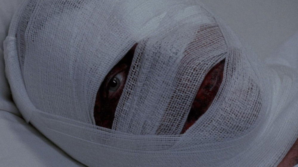 疯人怨,Asylum of Darkness(2012电影)