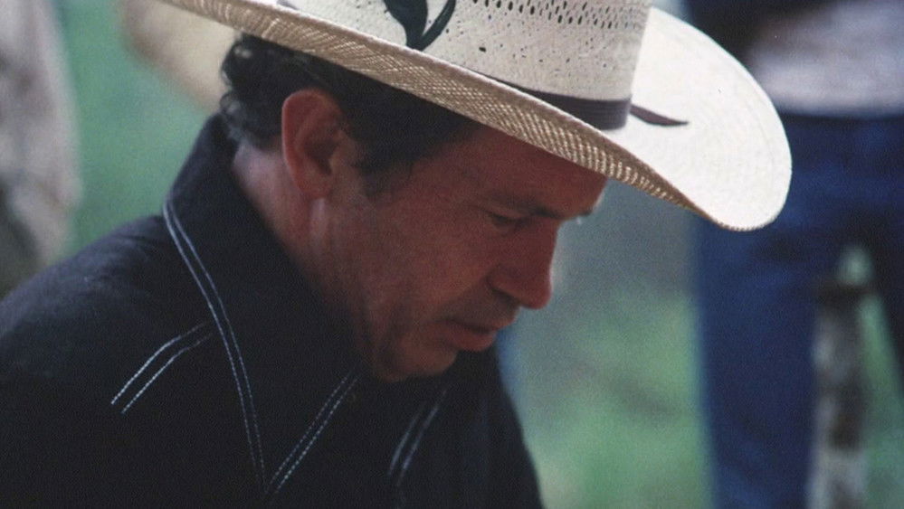 斗鸡人,Cockfighter(1974电影)