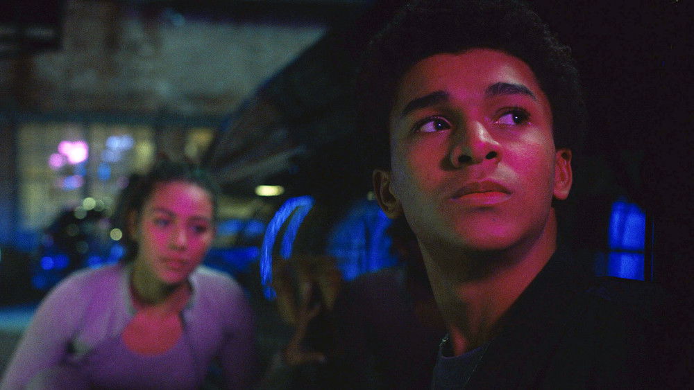 Harlan Coben’s Shelter